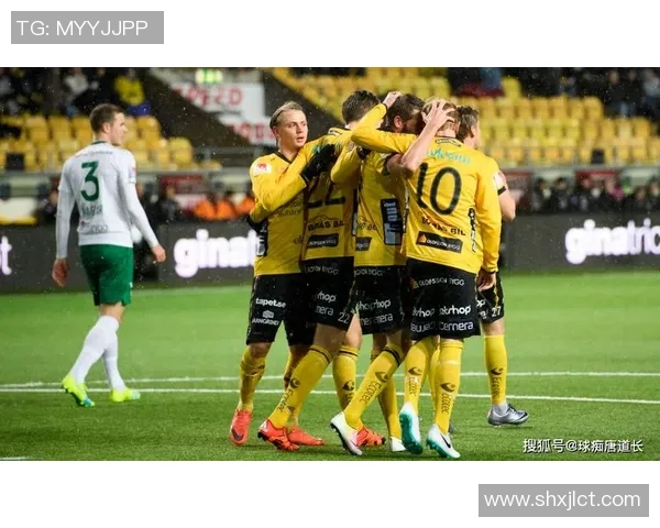 瑞典与法国足球历史交锋记录及比分回顾分析